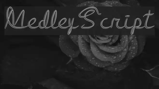 Medley_Script Font examples