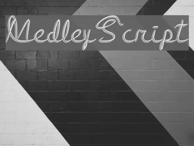Medley_Script Font examples