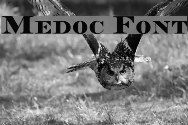Medoc Font examples