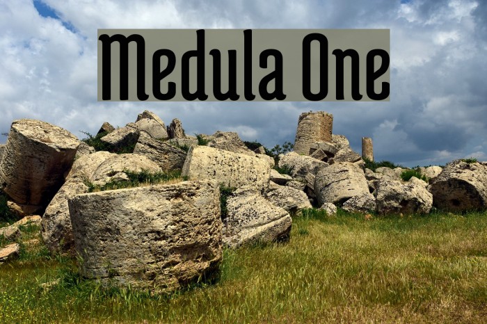 Medula One フォント examples