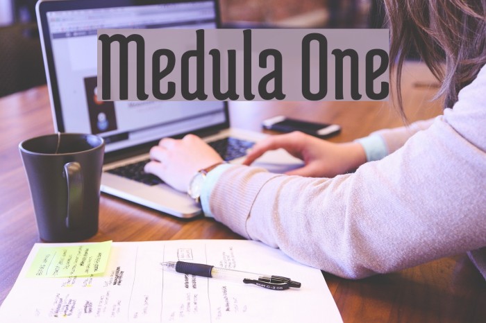 Medula One フォント examples