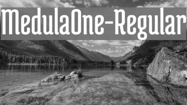 MedulaOne-Regular Example 2