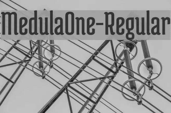 MedulaOne-Regular Example 3