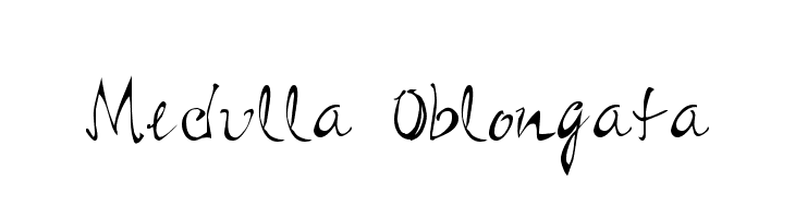 Medulla Oblongata  Frei Schriftart Herunterladen