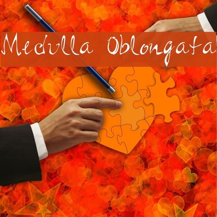 Medulla Oblongata Font examples