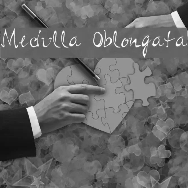 Medulla Oblongata Example 1