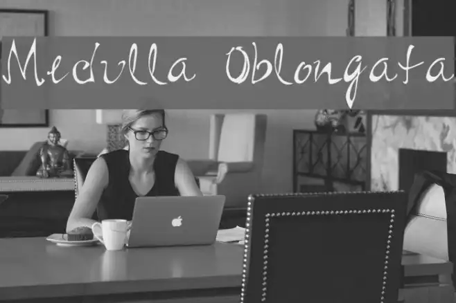 Medulla Oblongata Example 2