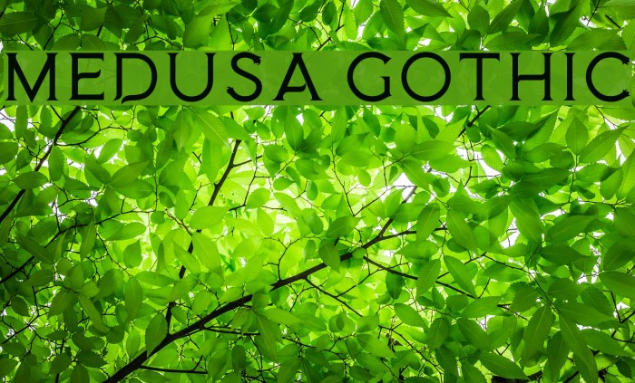 Medusa Gothic Font examples