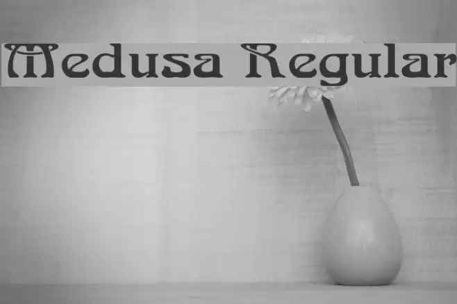 Medusa Regular Example 2
