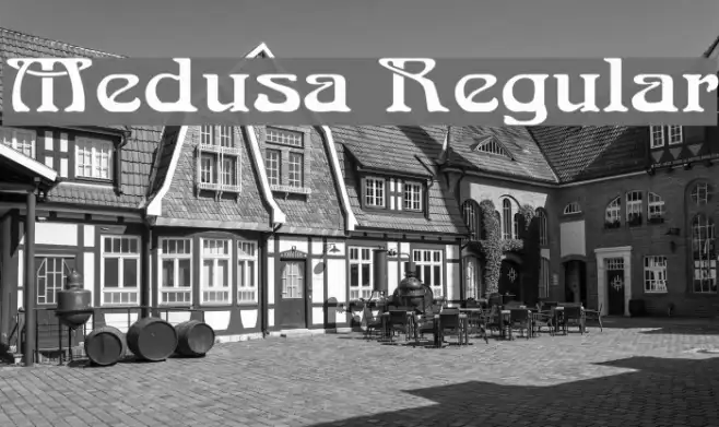 Medusa Regular Example 3