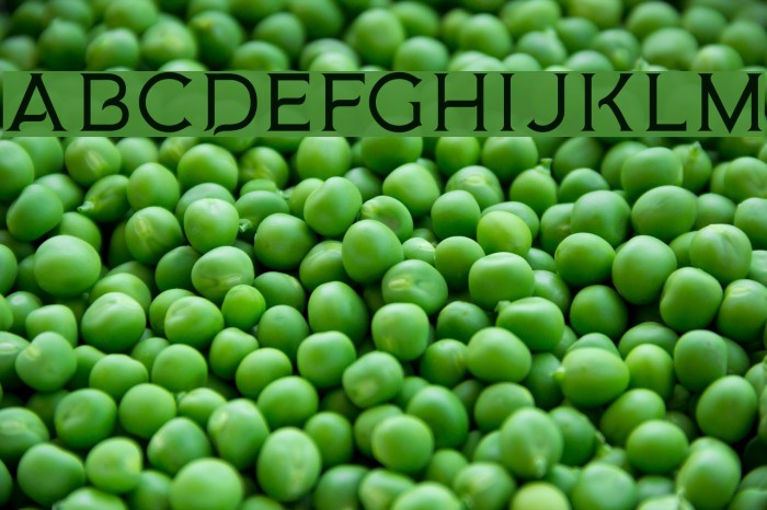 MedusaGothic Example 1