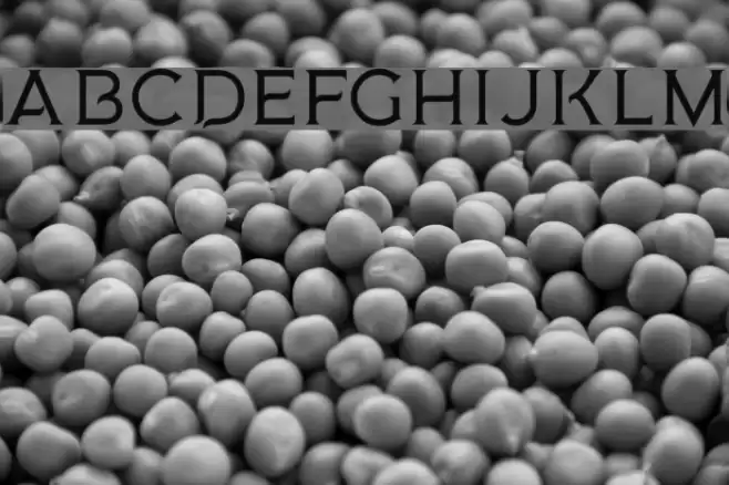 MedusaGothic Font examples