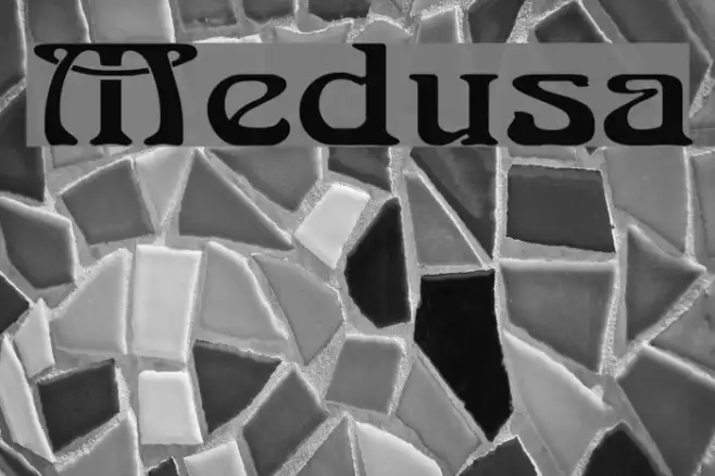Medusa Example 1