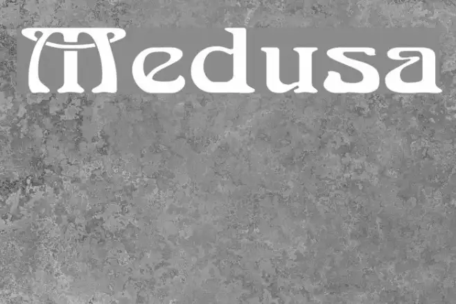 Medusa Example 2