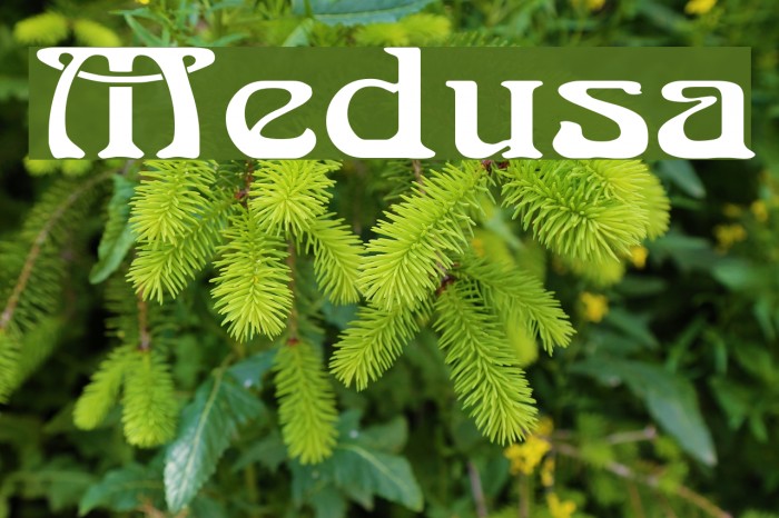 Medusa Font examples