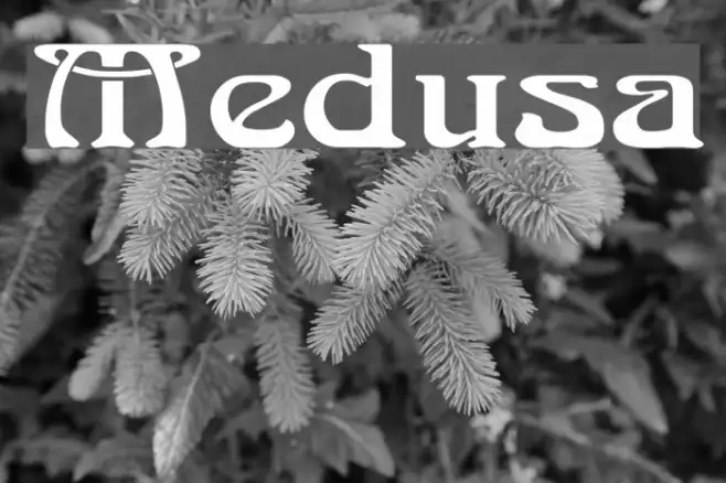 Medusa Example 3