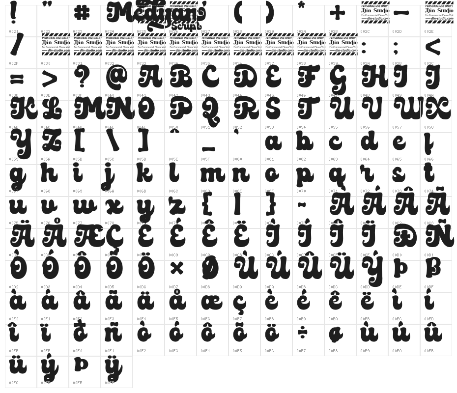 Medyan Script Personal Use Only Regular Character Map