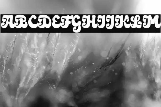 Medyan Script Personal Use Only Regular Font examples