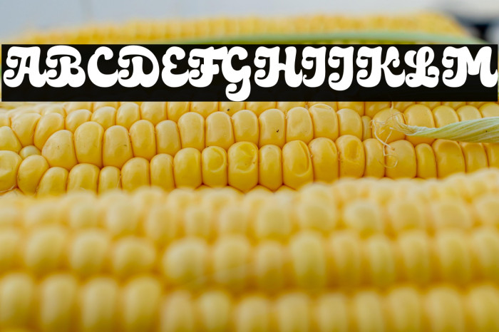 Medyan Script Personal Use Only Regular Example 3