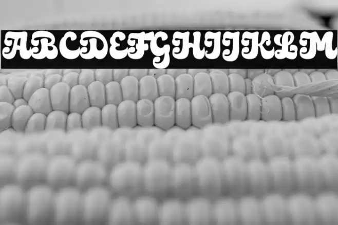 Medyan Script Personal Use Only Regular Font examples