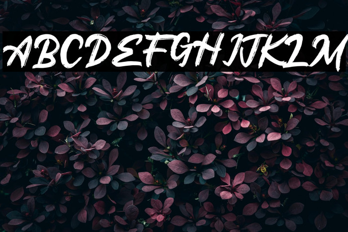 Meega Juctice Example 1