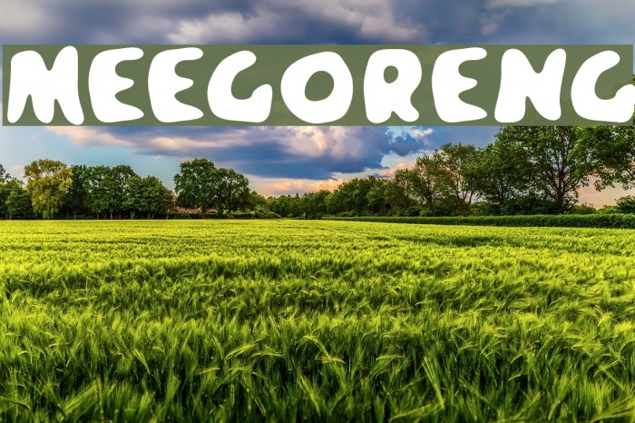 Meegoreng Font examples