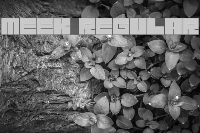 Meek Regular Font examples