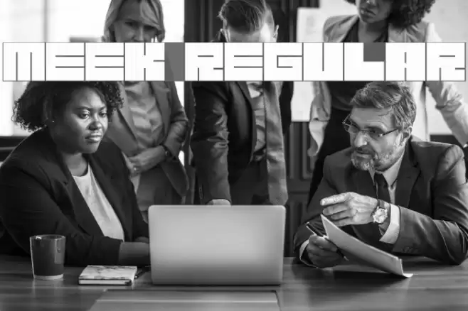 Meek Regular Font examples