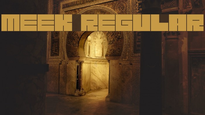 Meek Regular Font examples