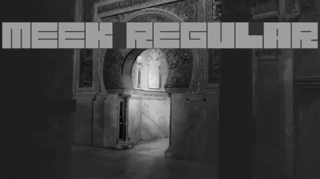 Meek Regular Font examples