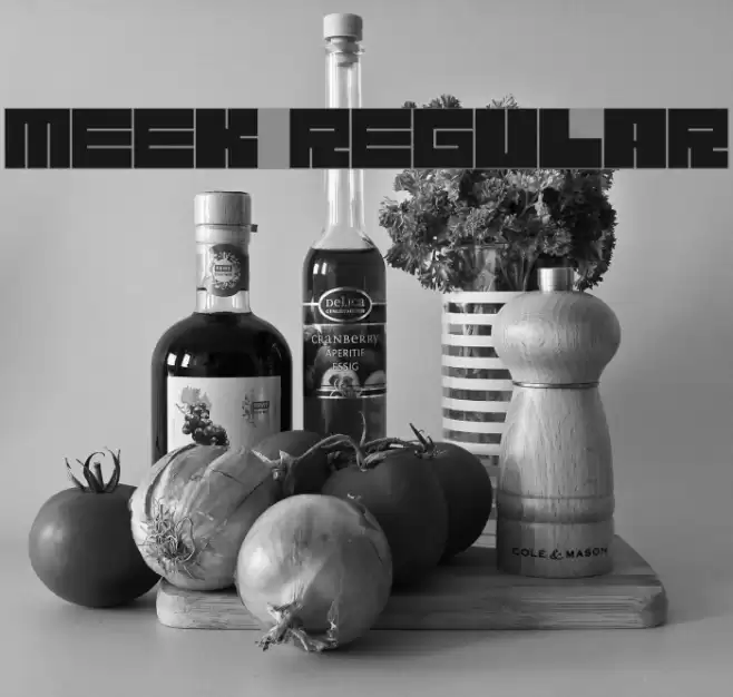 Meek Regular Font examples