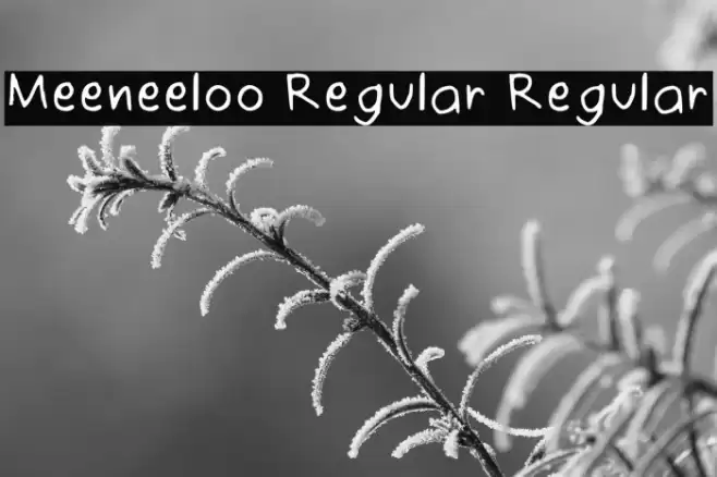 Meeneeloo Regular Regular Fonte examples
