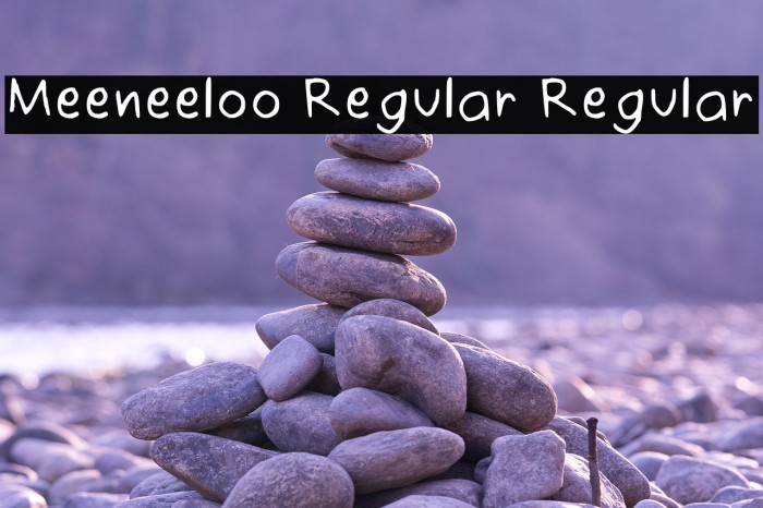 Meeneeloo Regular Regular Example 3