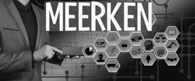 Meerken Example 1