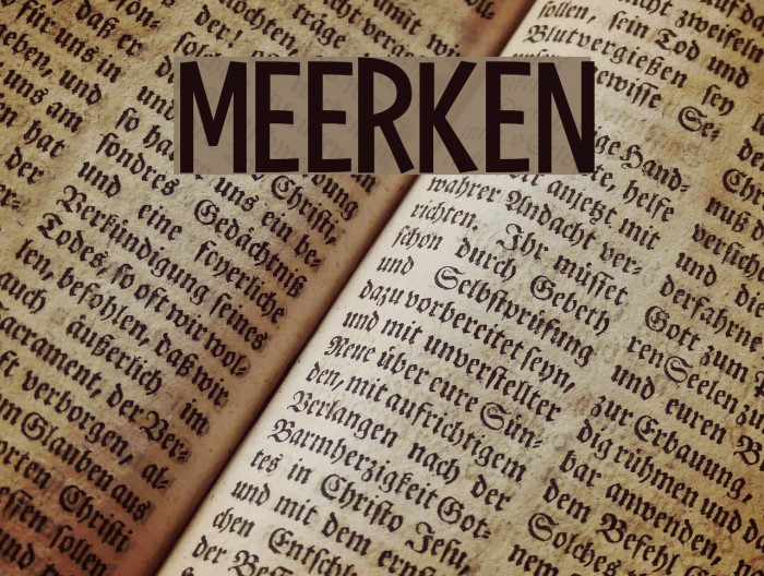 Meerken Font examples