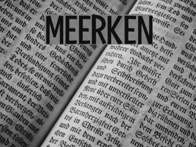 Meerken Example 2