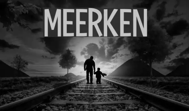 Meerken Example 3