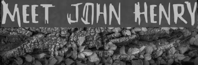 Meet John Henry Font examples