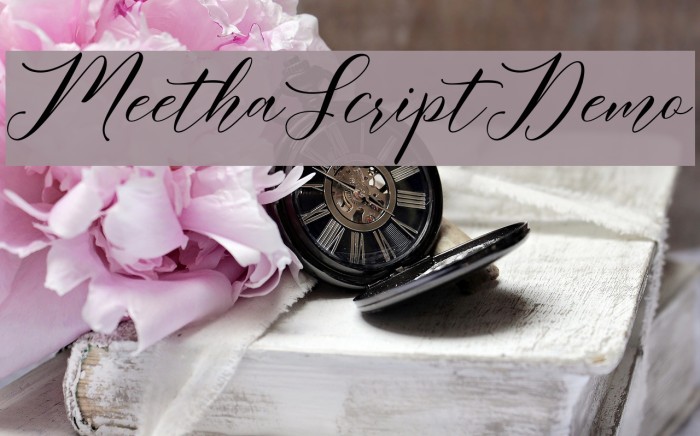 MeethaScriptDemo Example 1
