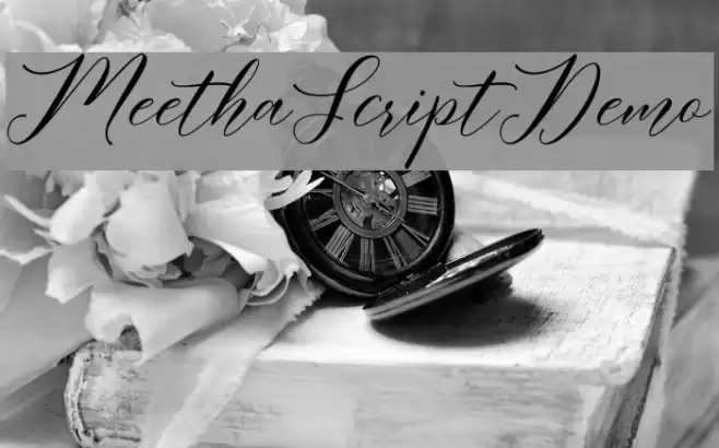 MeethaScriptDemo Font examples