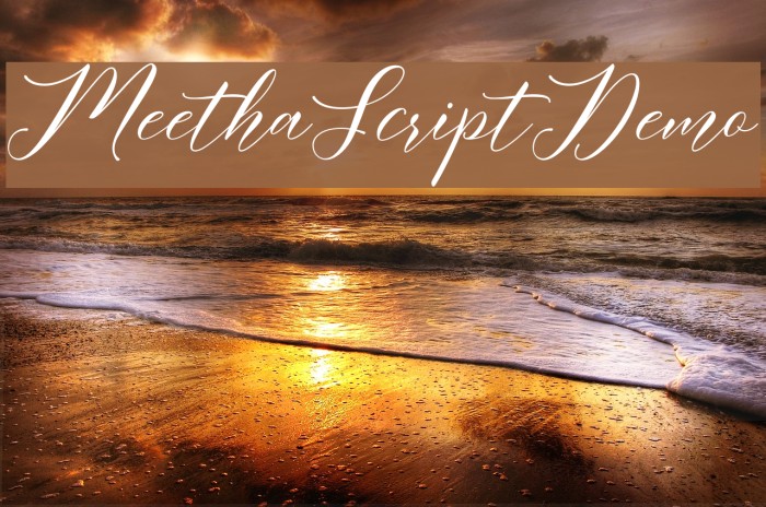MeethaScriptDemo Example 2