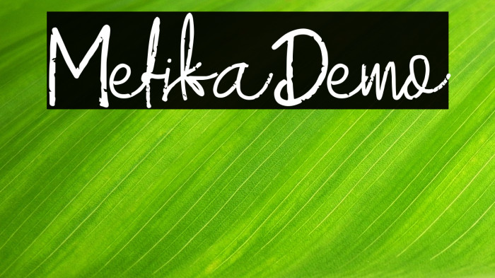 MefikaDemo Example 1