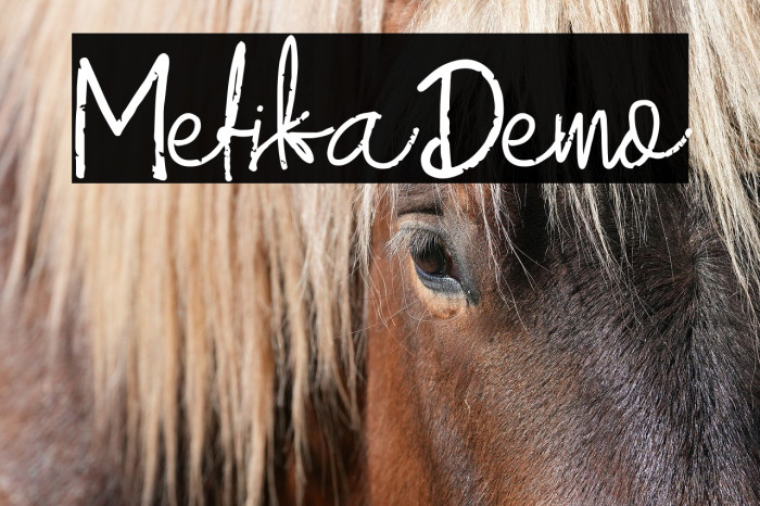 MefikaDemo Example 2