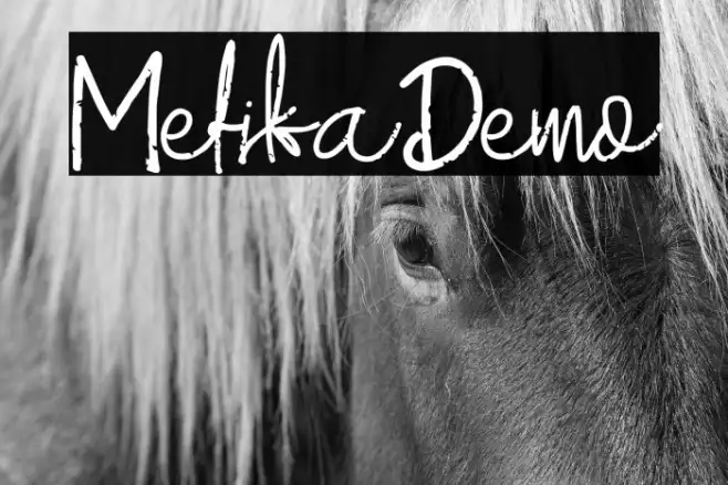 MefikaDemo Example 2