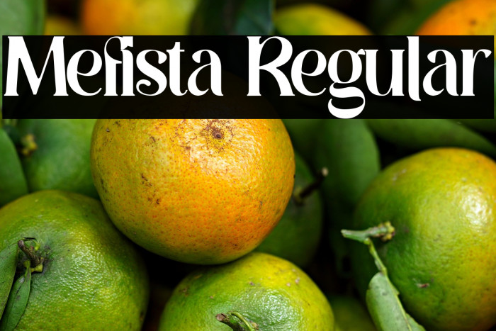 Mefista Regular Example 3