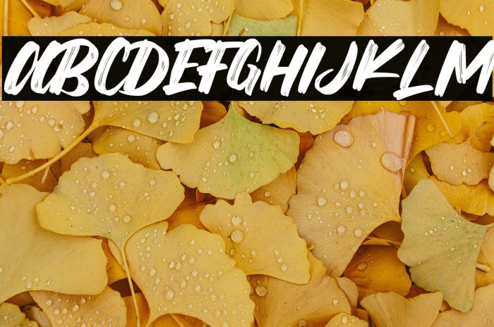 Mega Brush Example 3