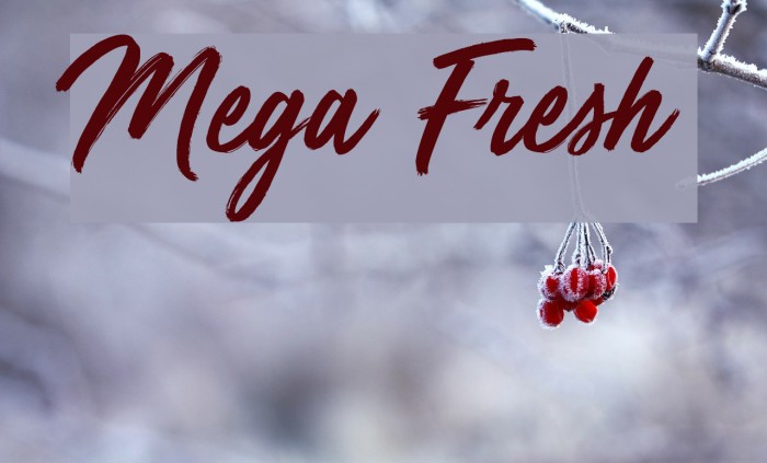 Mega Fresh Font examples