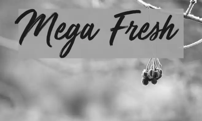 Mega Fresh Example 2