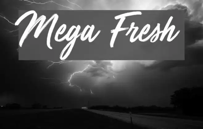 Mega Fresh Example 3