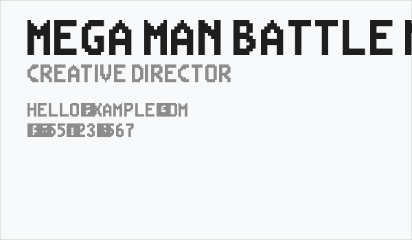 Mega Man Battle Network Regular Business Card